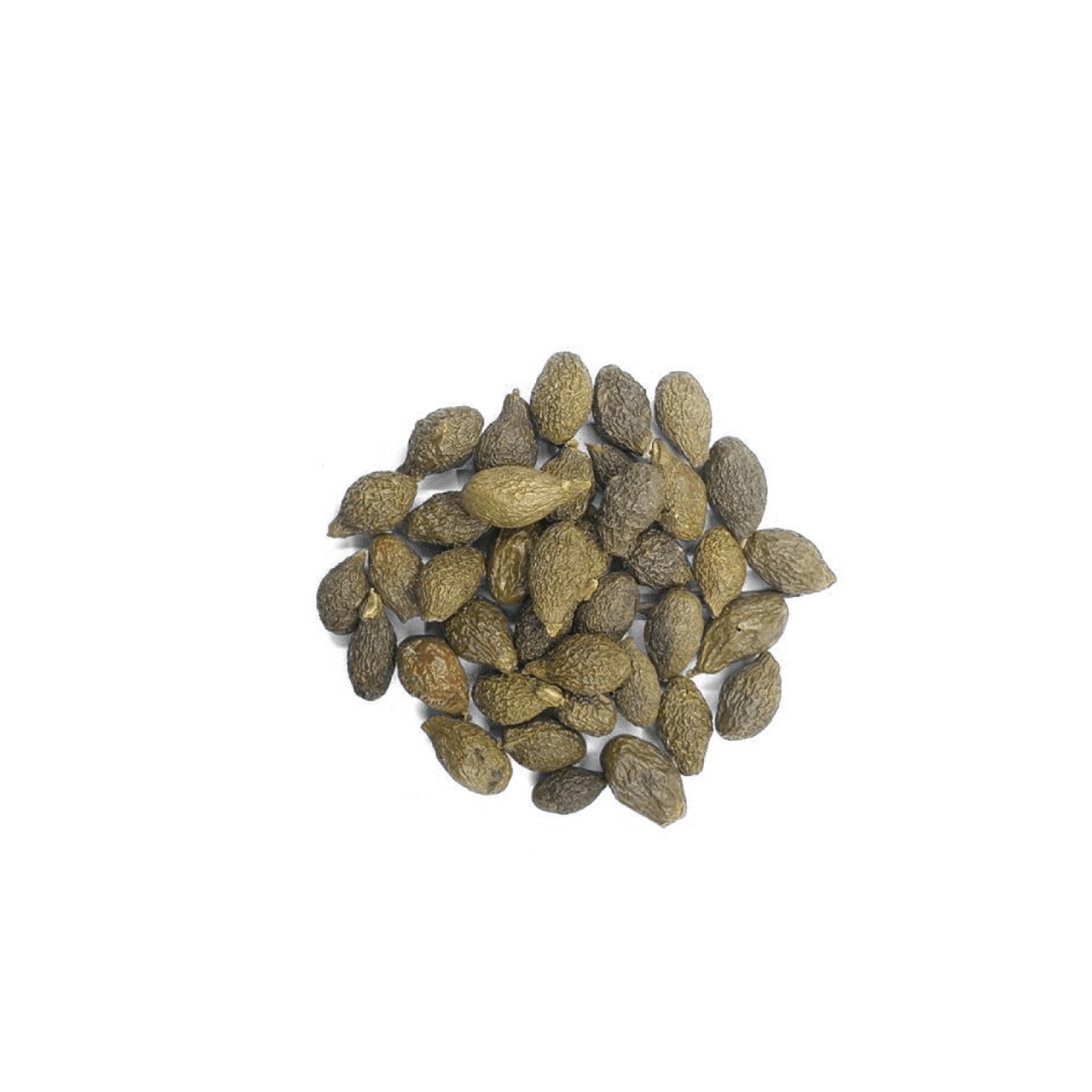 1Kg Buah Kembang Semangkok 大发只 (胖大海) 1